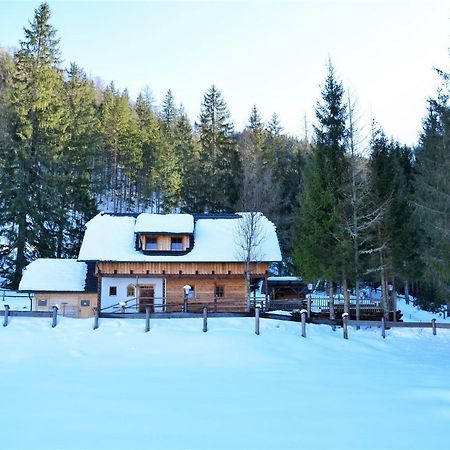 Ferienhaus Dirnbacher Huette Hotell Turnau Eksteriør bilde